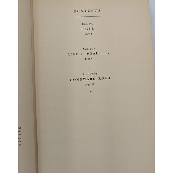 An Altar In The Fields By Ludwig Lewisohn Vintage Novel First Edition 1934 - Picture 12 of 15